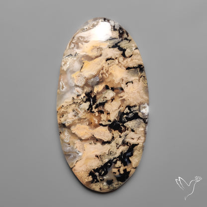 Australian Dendritic Agate Cabochon aka Yellow/Tiger Dendrite