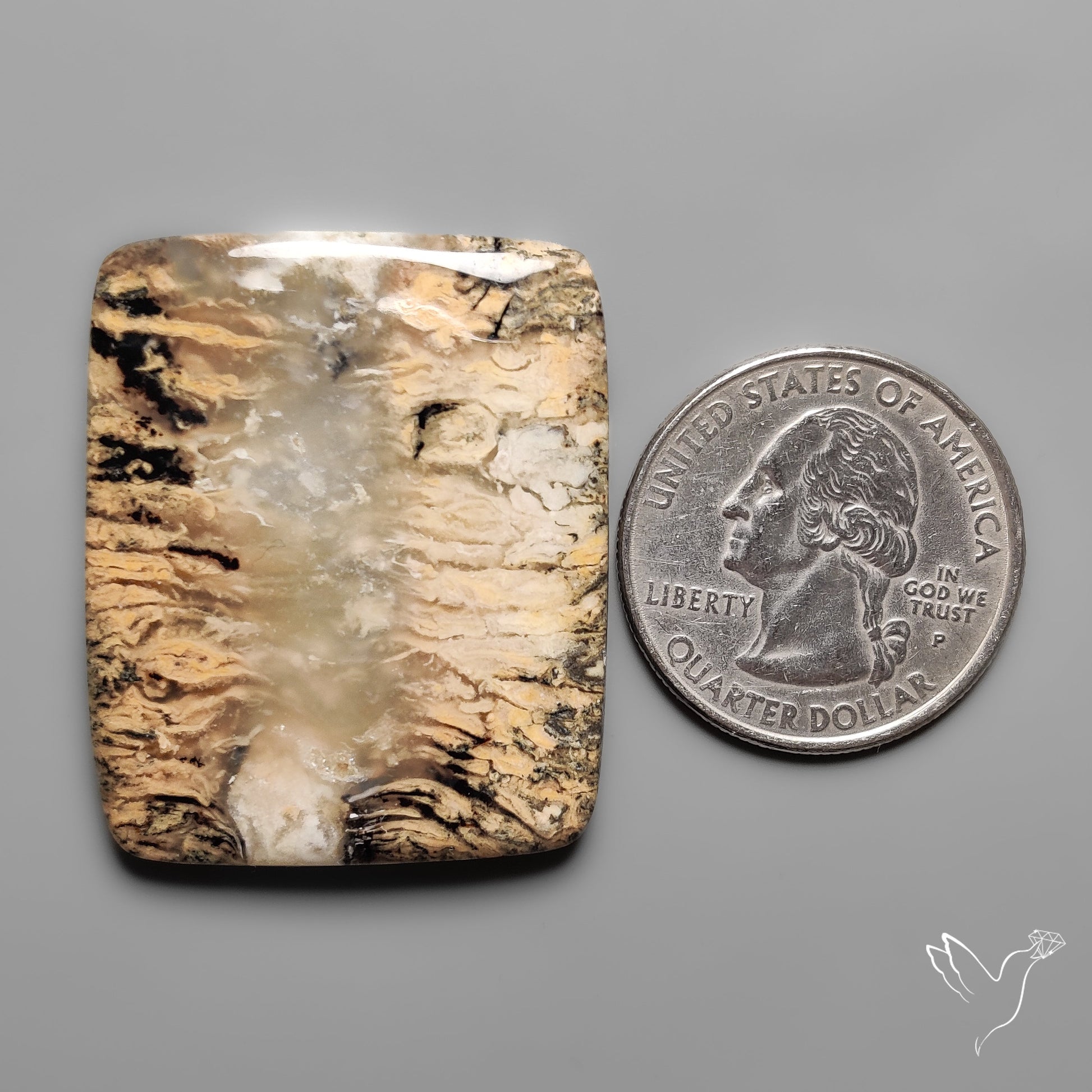 Australian Dendritic Agate Cabochon aka Yellow/Tiger Dendrite