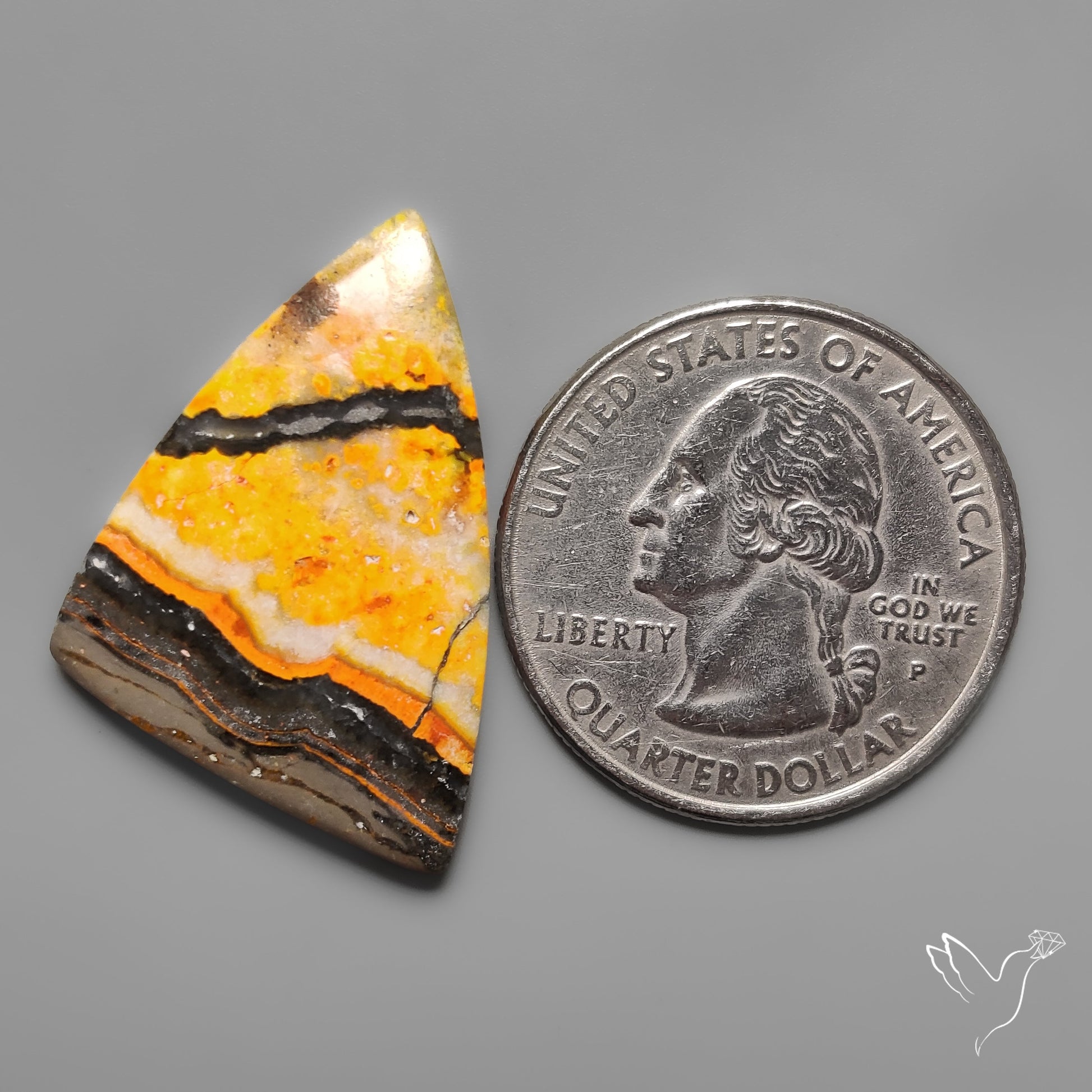 Bumble Bee Jasper Cabochon