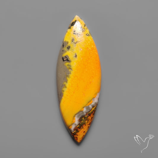 Bumble Bee Jasper Cabochon
