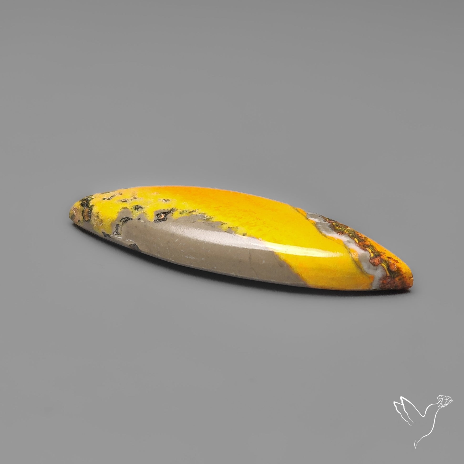 Bumble Bee Jasper Cabochon