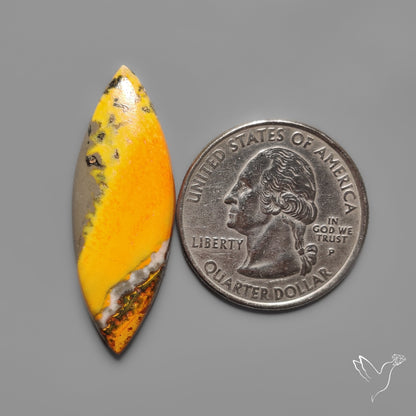 Bumble Bee Jasper Cabochon