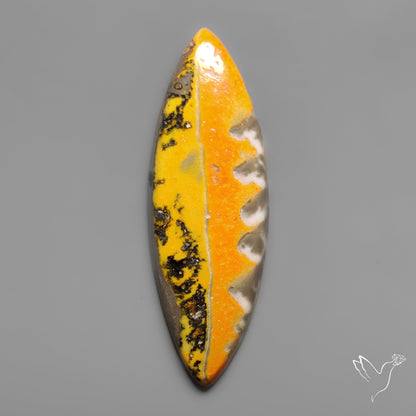 Bumble Bee Jasper Cabochon