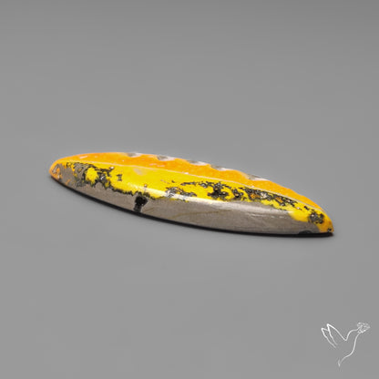 Bumble Bee Jasper Cabochon