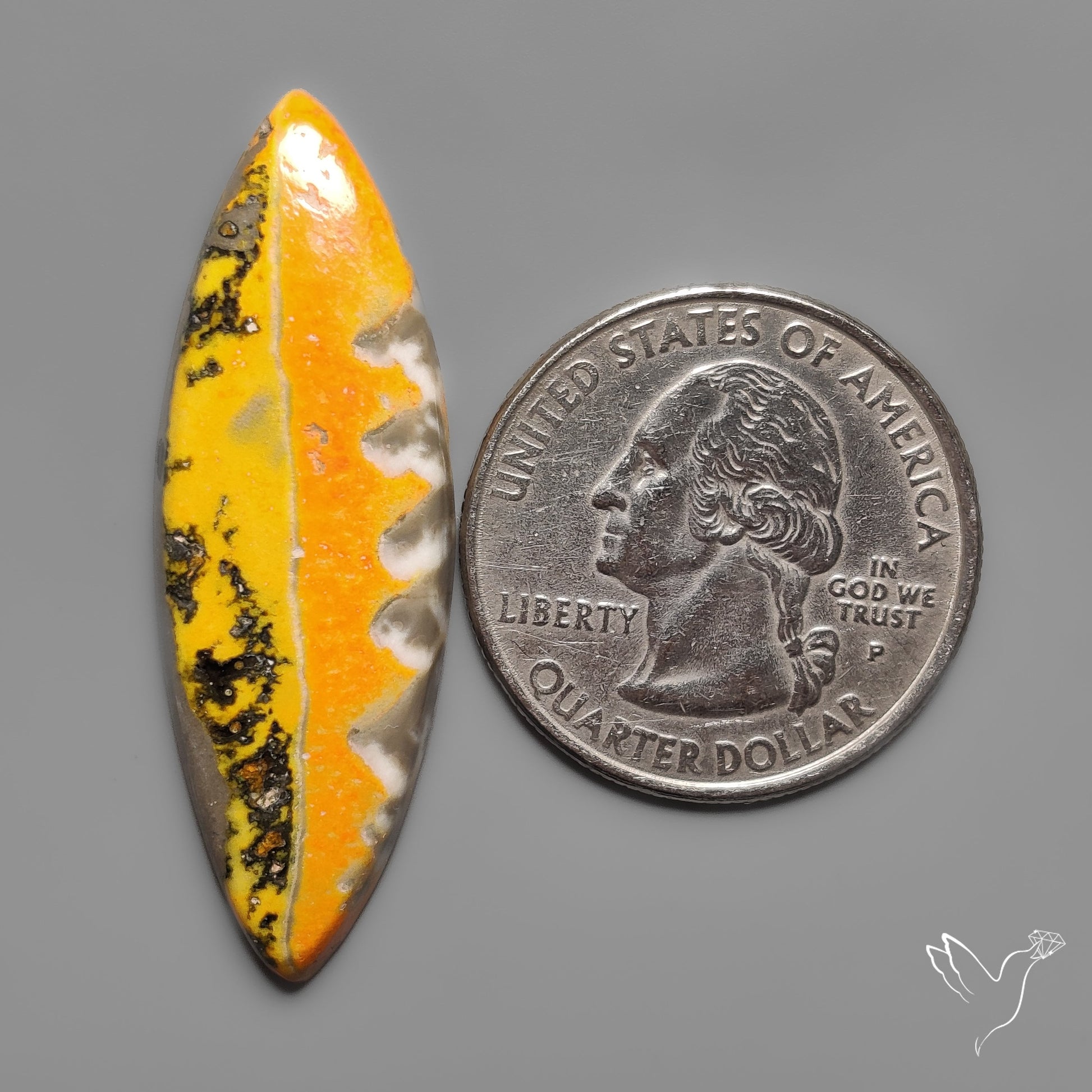 Bumble Bee Jasper Cabochon