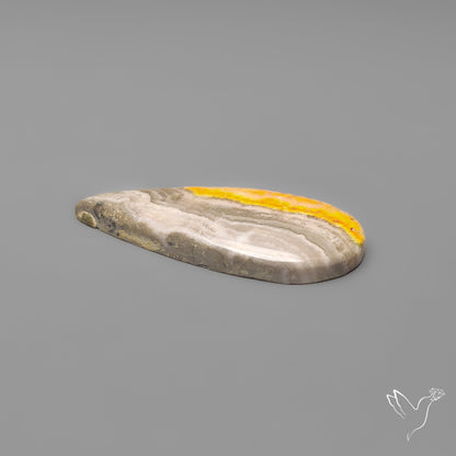 Bumble Bee Jasper Cabochon