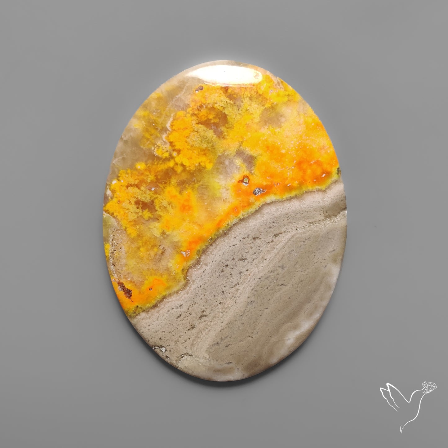 Bumble Bee Jasper Cabochon