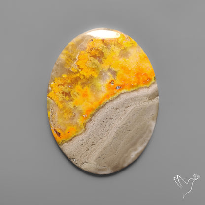Bumble Bee Jasper Cabochon