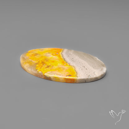 Bumble Bee Jasper Cabochon