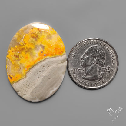 Bumble Bee Jasper Cabochon