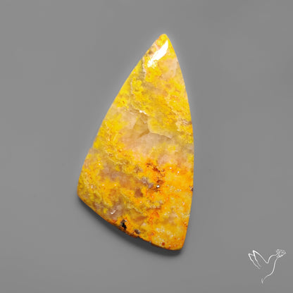 Bumble Bee Jasper Cabochon