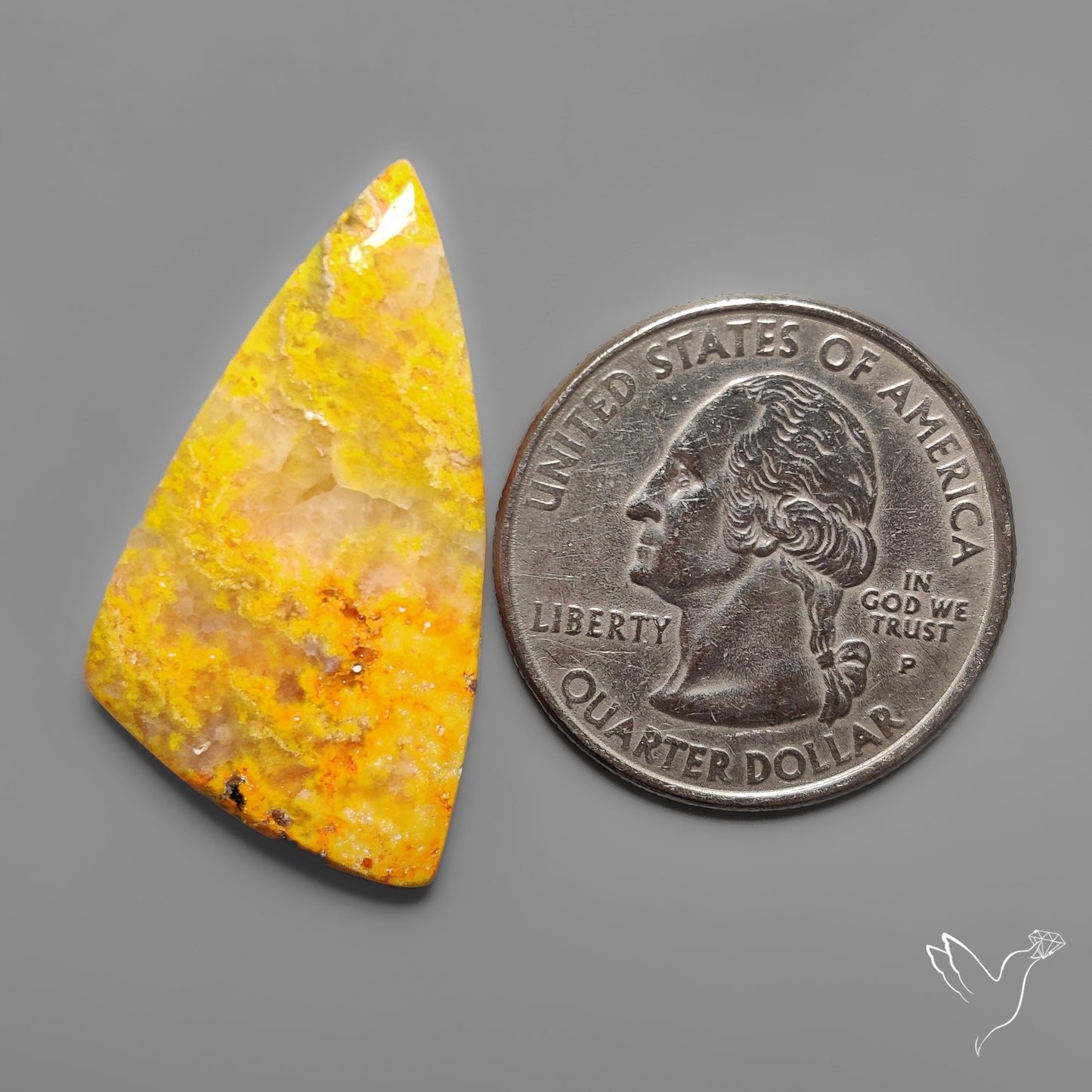 Bumble Bee Jasper Cabochon