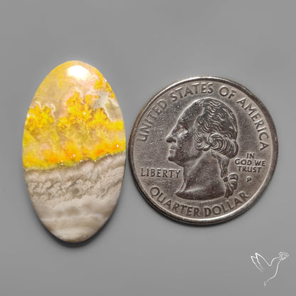 Bumble Bee Jasper Cabochon
