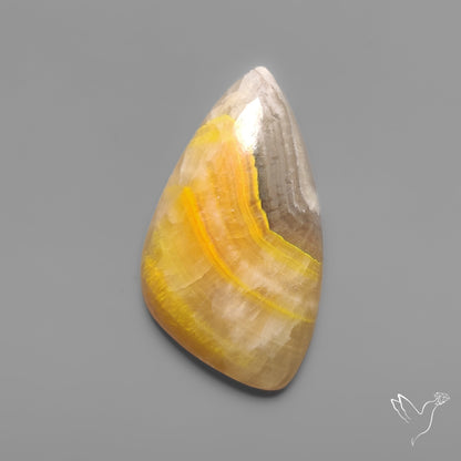 Bumble Bee Jasper Cabochon