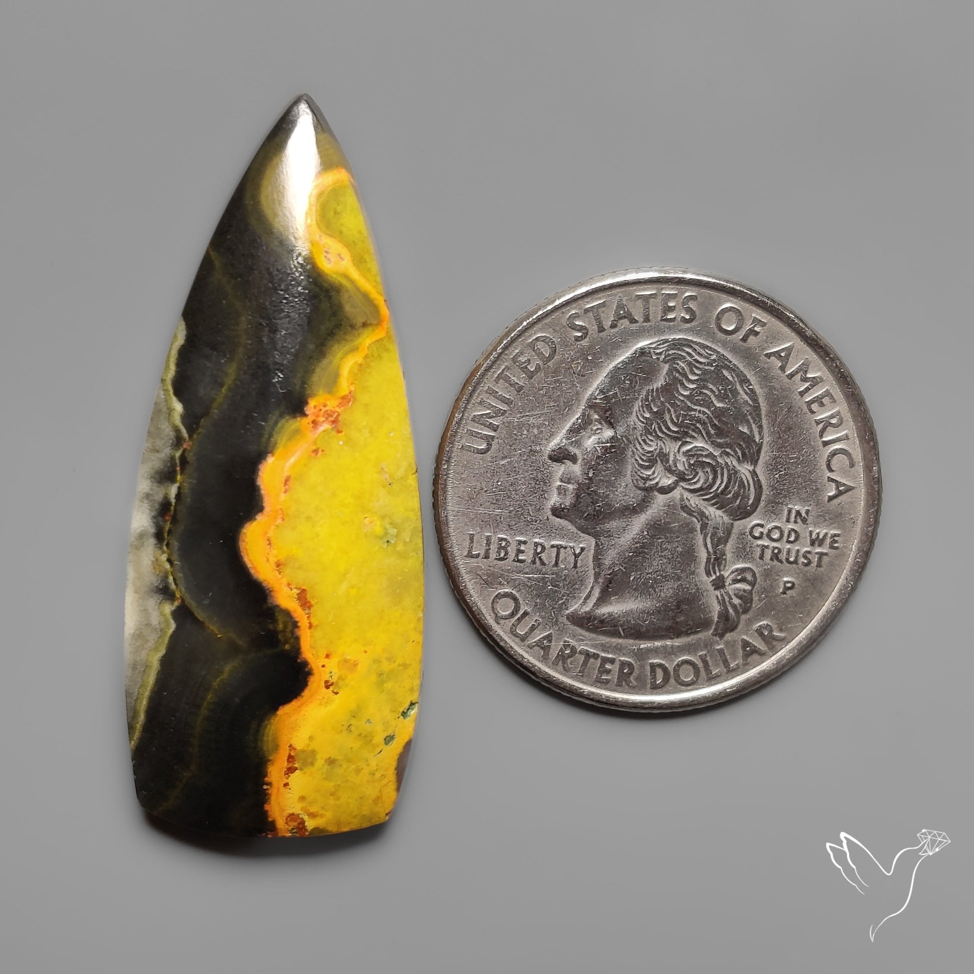 Bumble Bee Jasper Cabochon