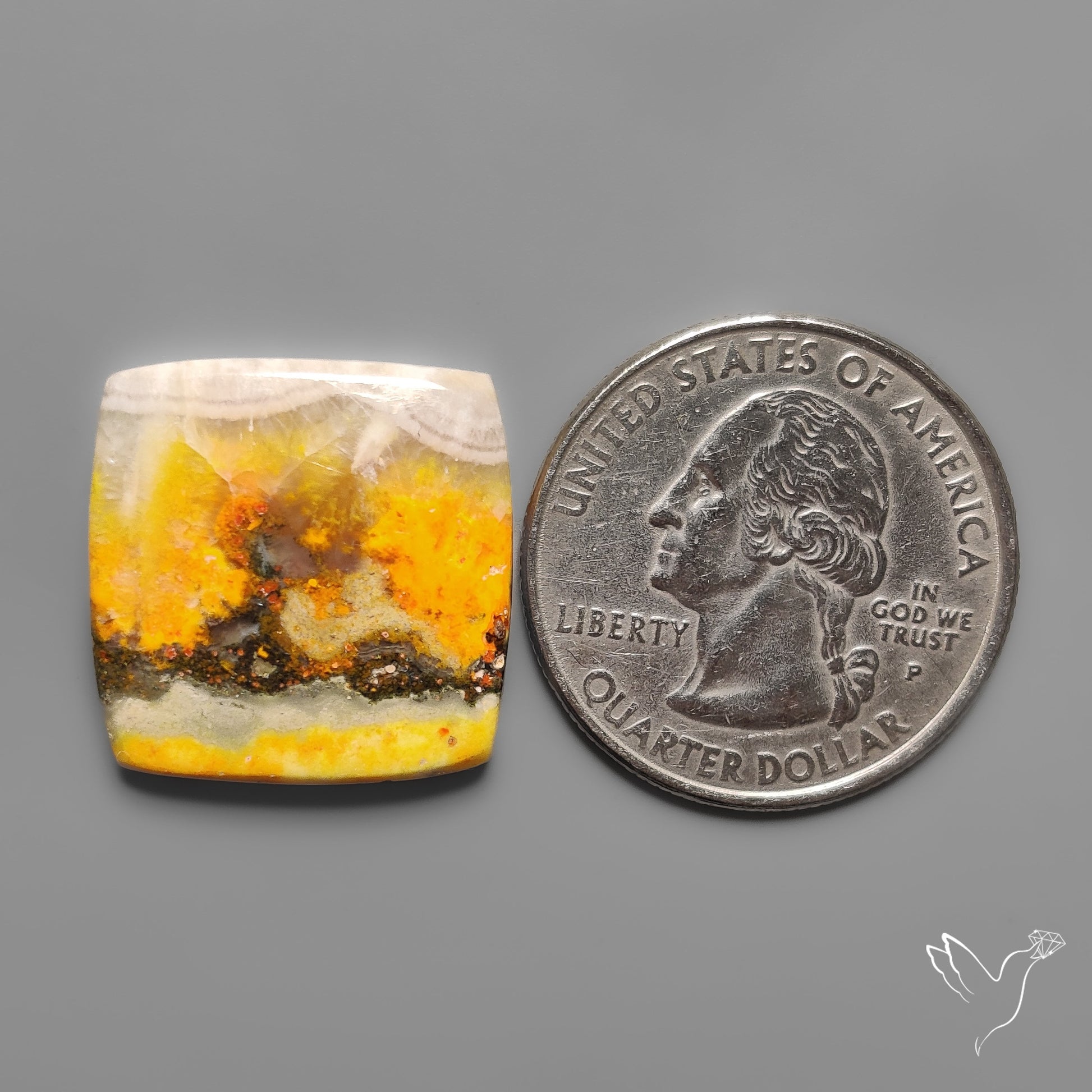 Bumble Bee Jasper Cabochon