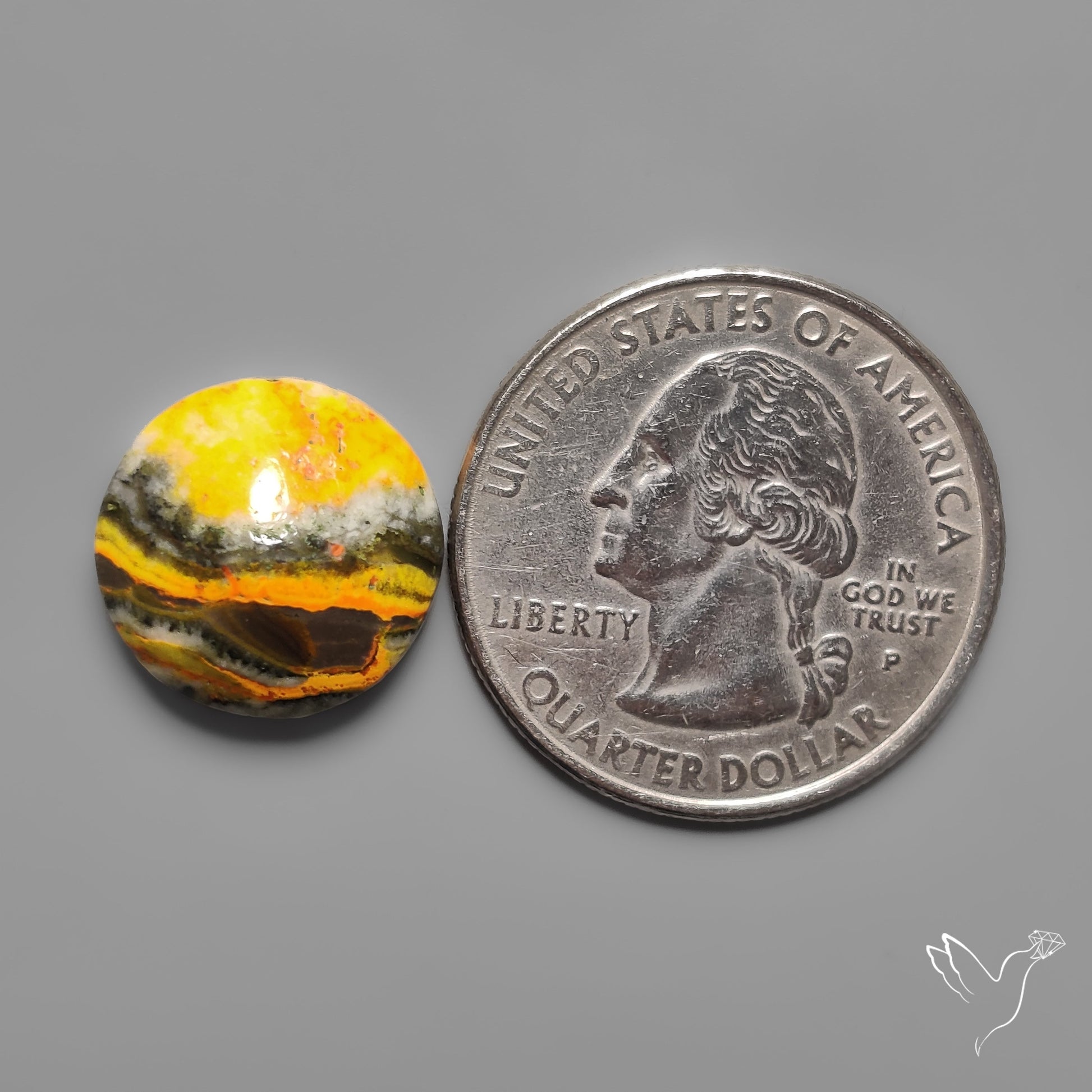 Bumble Bee Jasper Cabochon