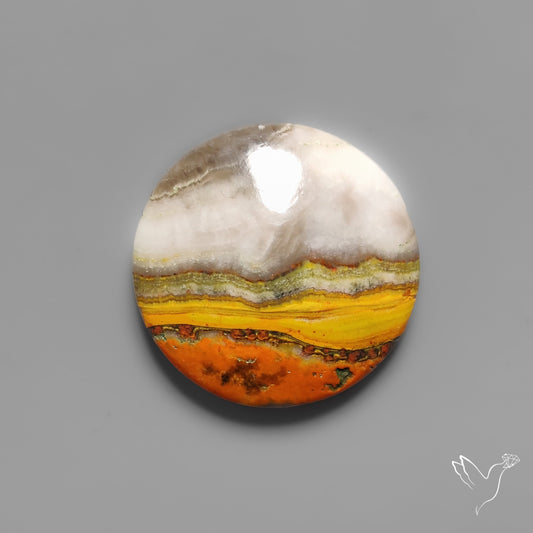 Bumble Bee Jasper Cabochon