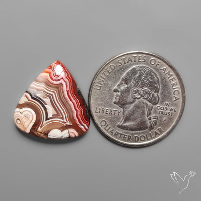 Crazylace Agate Cabochon