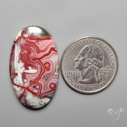 Crazylace Agate Cabochon