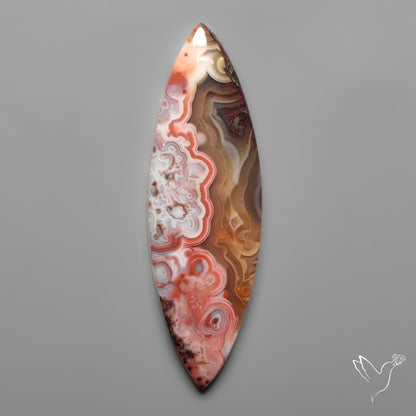 Crazylace Agate Cabochon