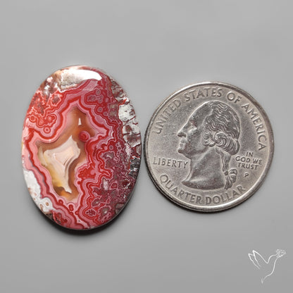 Crazylace Agate Cabochon