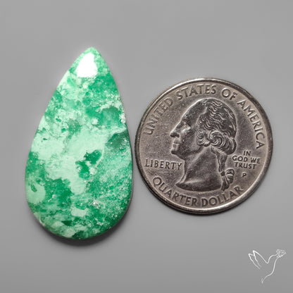 Lucin Variscite Cabochon from Utah