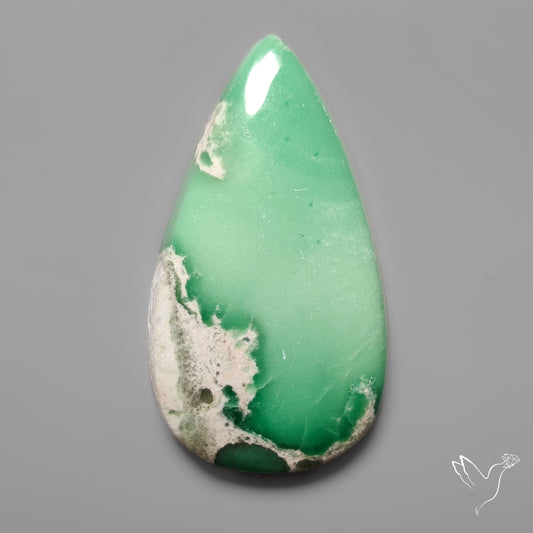 Lucin Variscite Cabochon from Utah