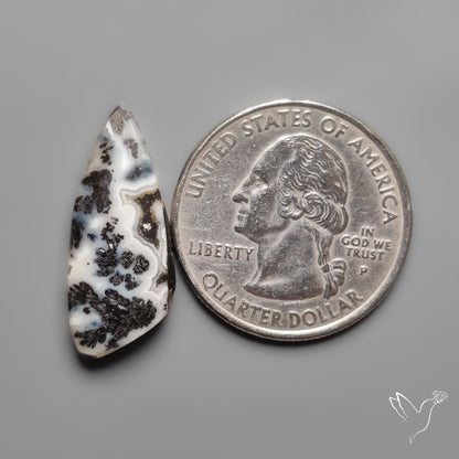 Parallel Dendritic Agate Cabochon