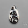 Parallel Dendritic Agate Cabochon