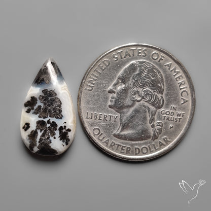 Parallel Dendritic Agate Cabochon