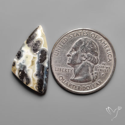 Parallel Dendritic Agate Cabochon