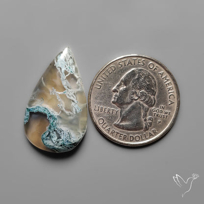 White Horse Canyon Moss Agate Cabochon