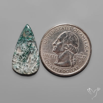 White Horse Canyon Moss Agate Cabochon