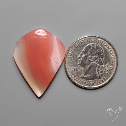 Persimmon Botswana Agate Cabochon Rare