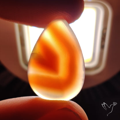 Persimmon Botswana Agate Cabochon Rare