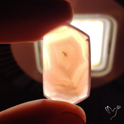 Persimmon Botswana Agate Cabochon Rare