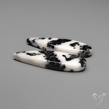 White Buffalo Turquoise Pair