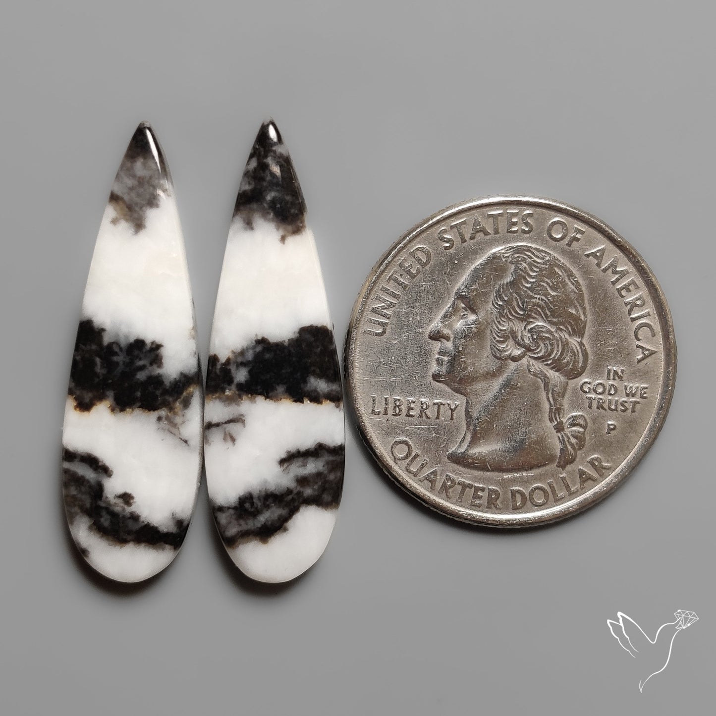 White Buffalo Turquoise Pair