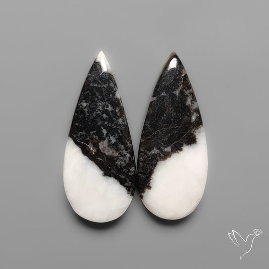 White Buffalo Turquoise Pair