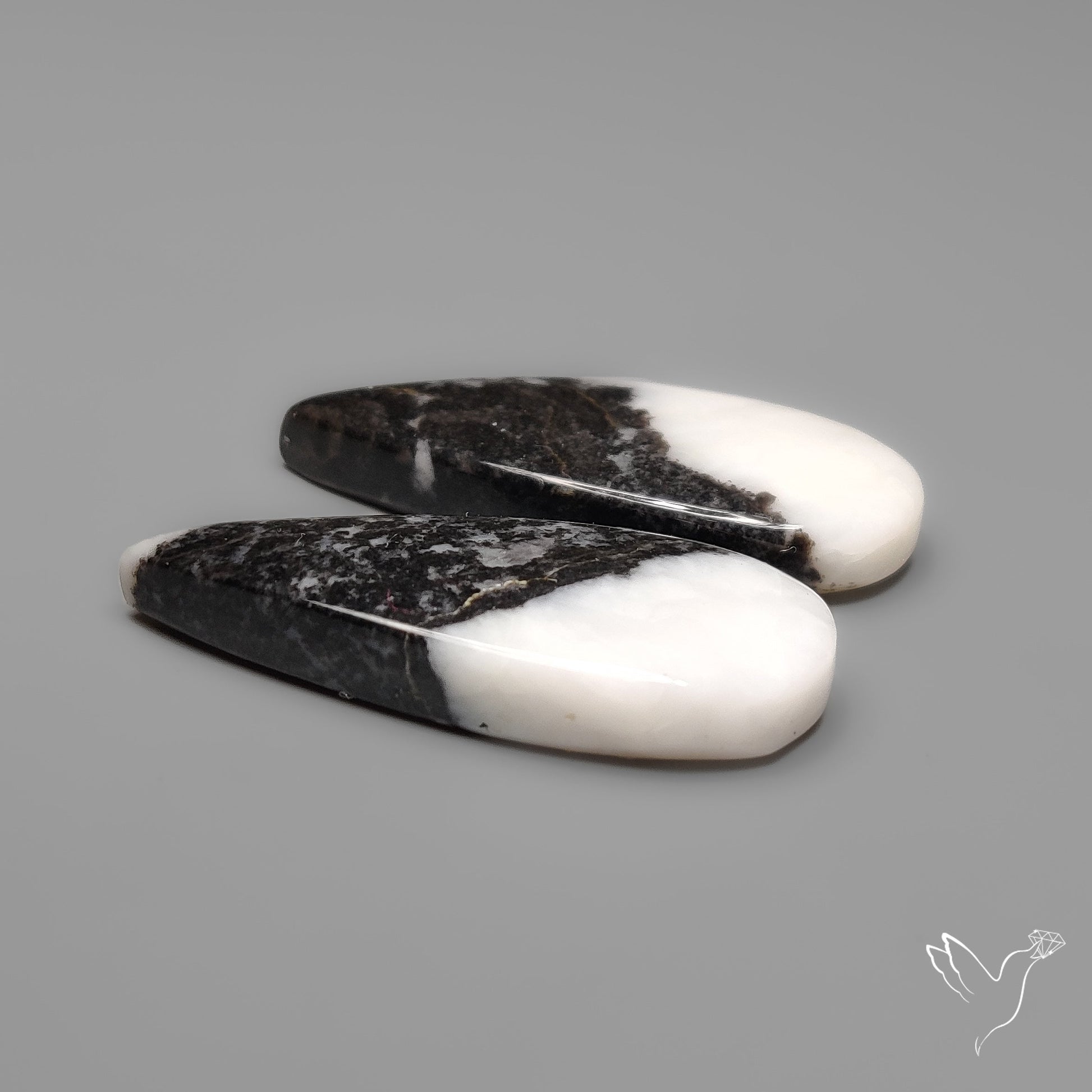 White Buffalo Turquoise Pair