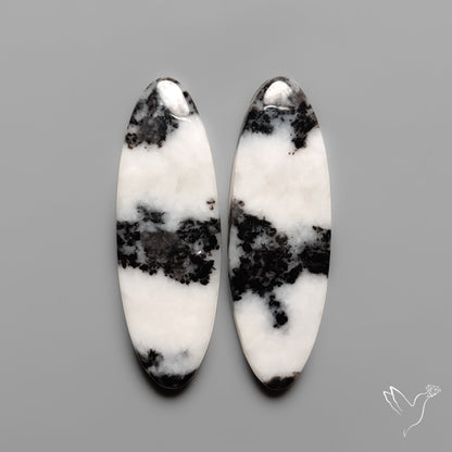 White Buffalo Turquoise Pair
