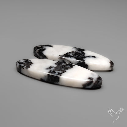 White Buffalo Turquoise Pair