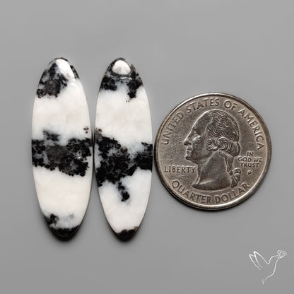 White Buffalo Turquoise Pair