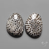Stingray Black Fossil Corals Pair