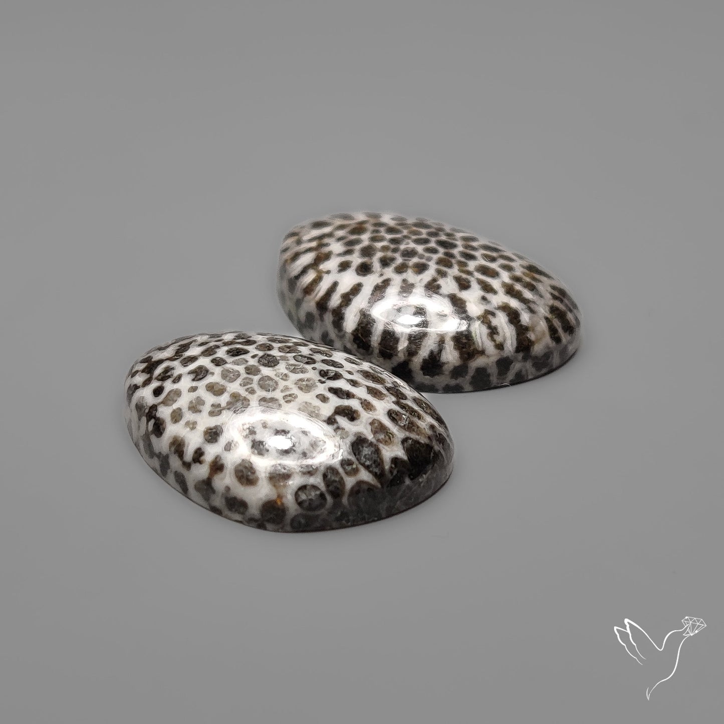 Stingray Black Fossil Corals Pair