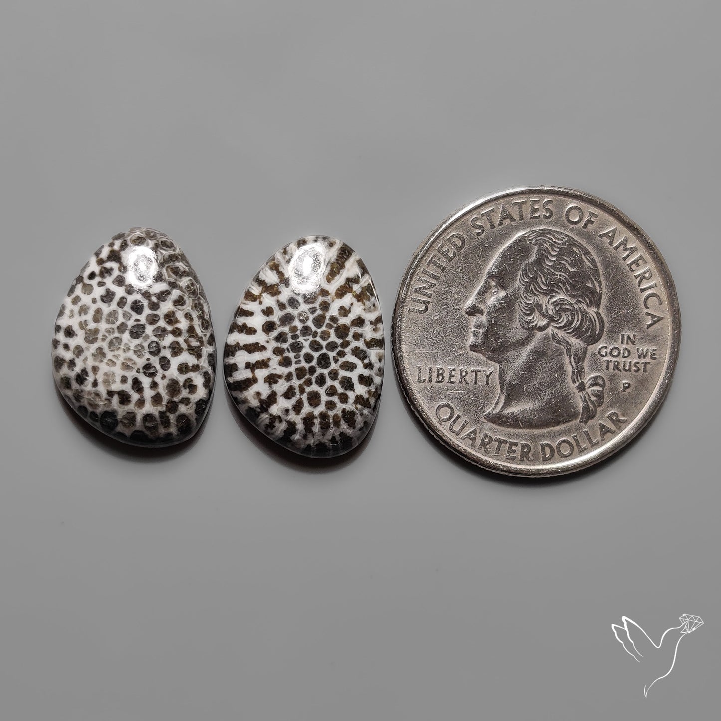 Stingray Black Fossil Corals Pair