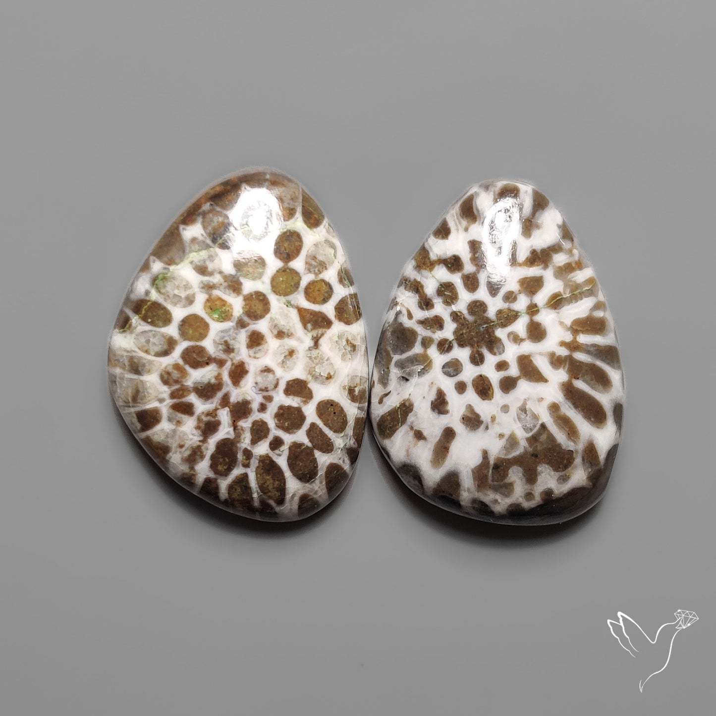 Stingray Black Fossil Corals Pair