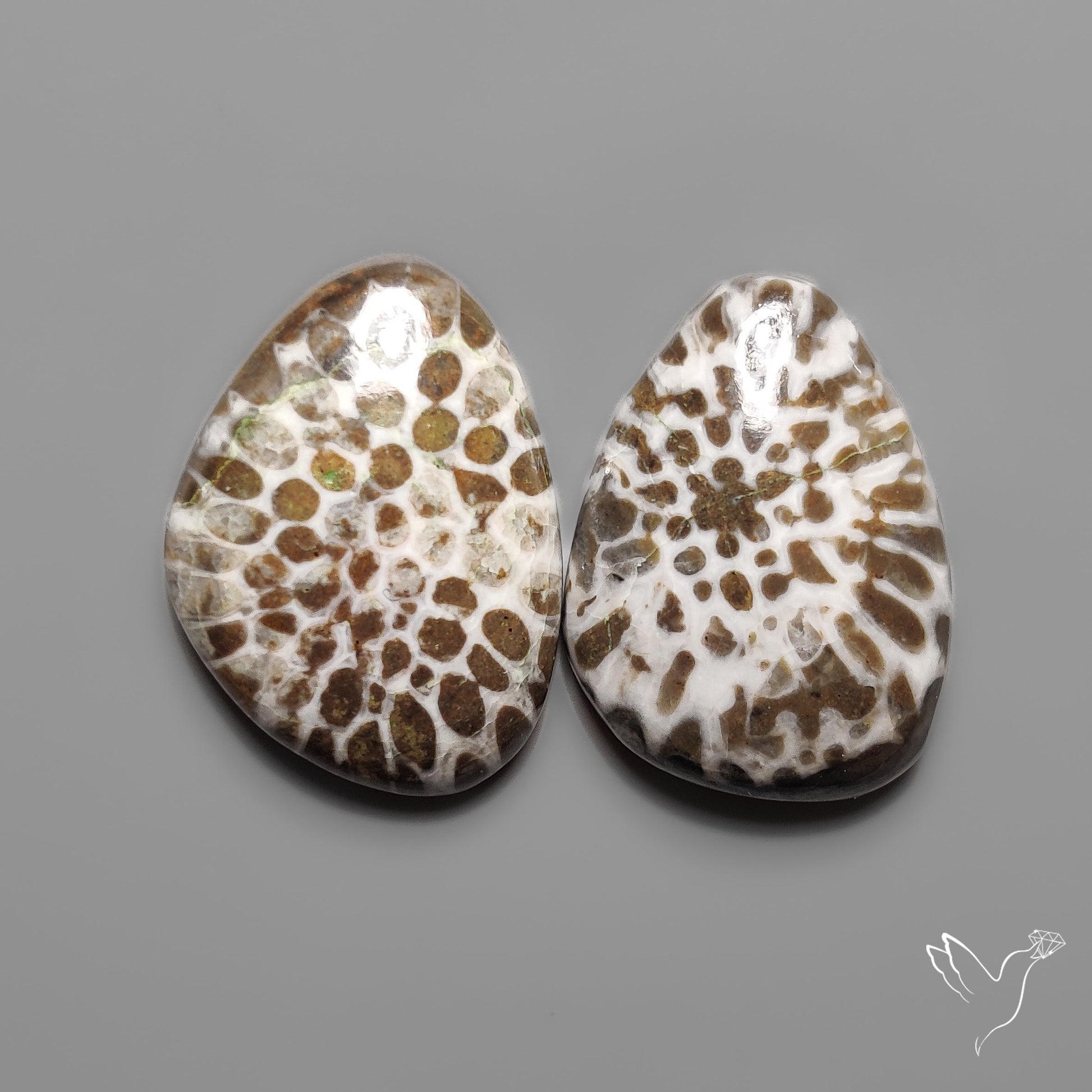 Stingray Black Fossil Corals Pair
