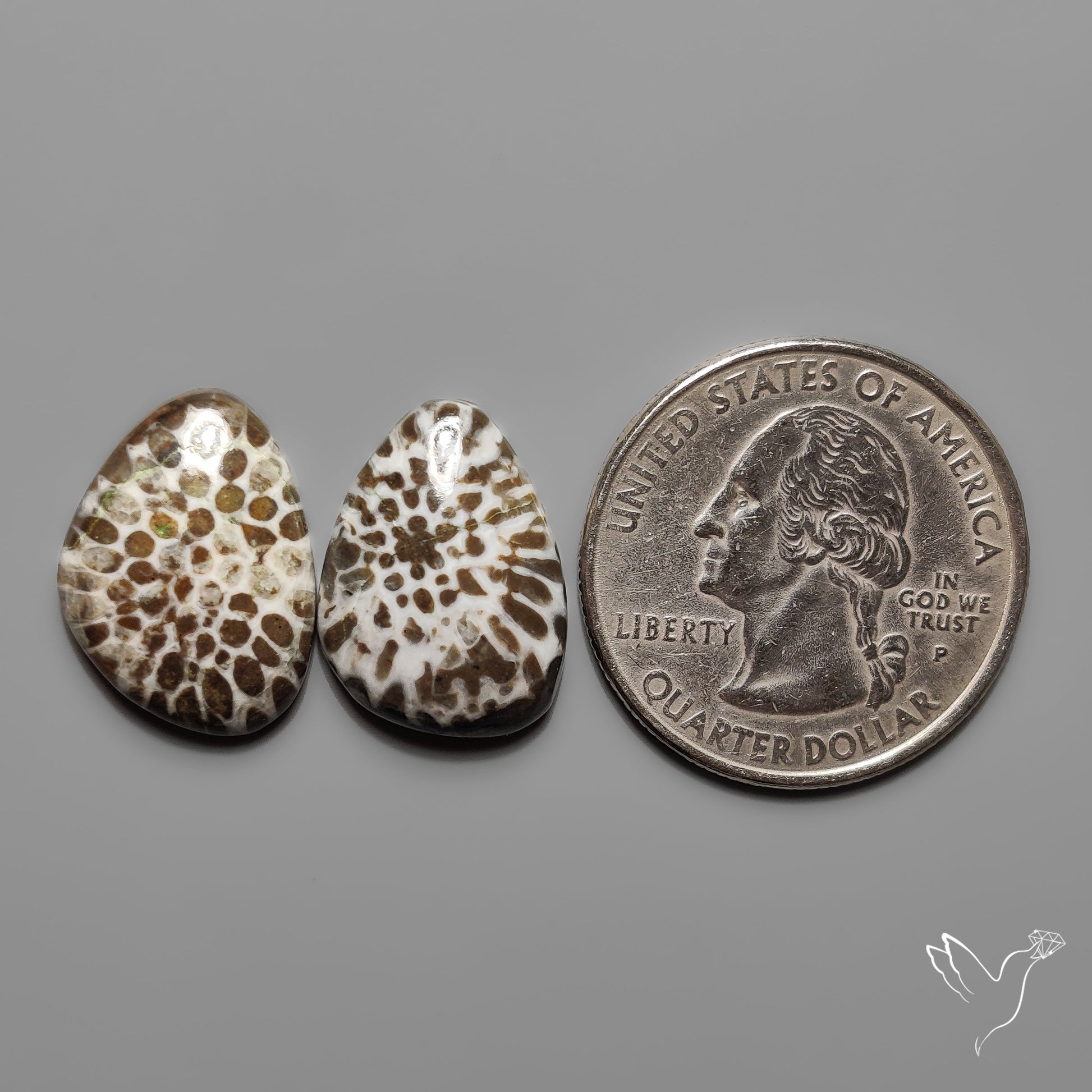 Stingray Black Fossil Corals Pair